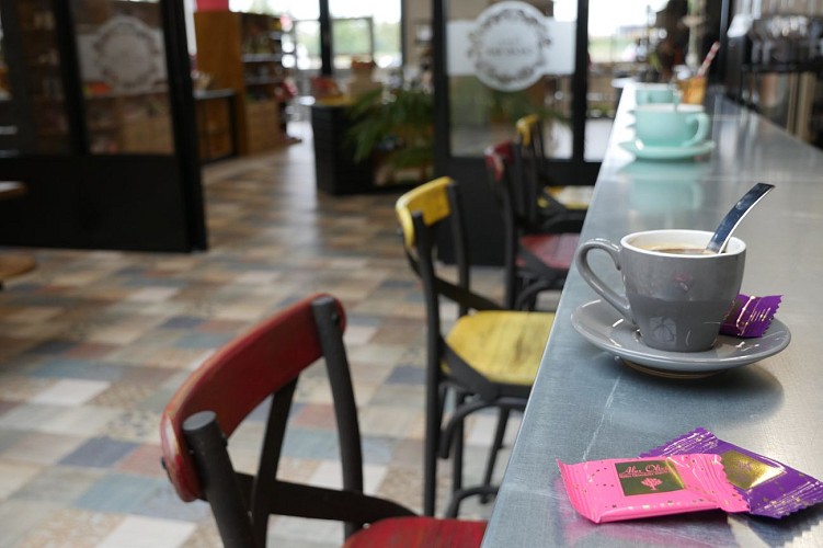 Cacao-Bar-Chocolaterie-Alex-Olivier-1