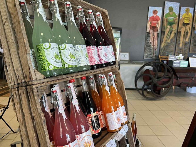 L'arcatène Sully sur Loire (3)