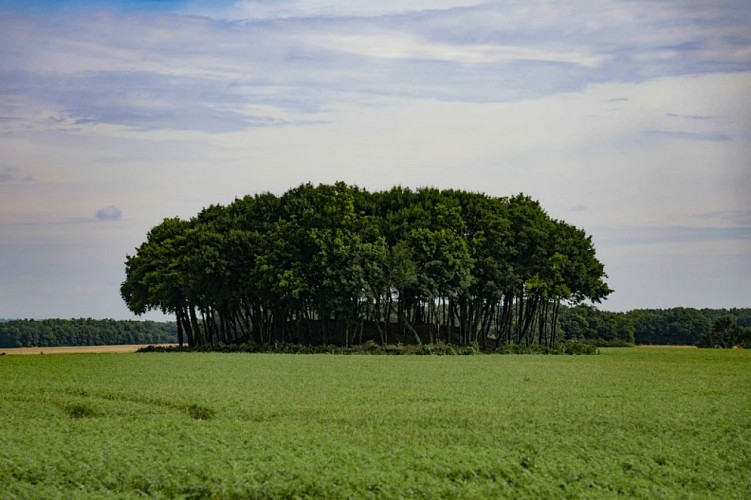 Mégalithes "Le Gros Dognon"