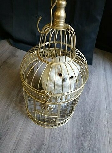 La Machinerie de Steamvalley - Bizzarerie Mazamet