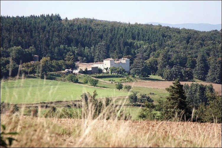 Château le Plantier
