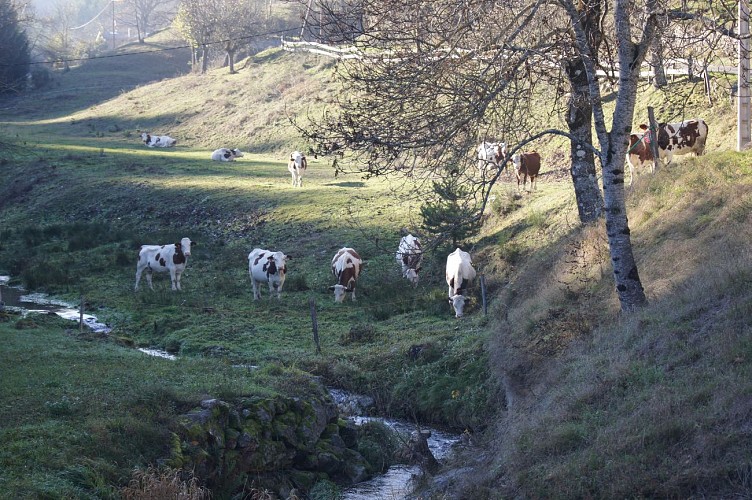 Moulin de la Faure