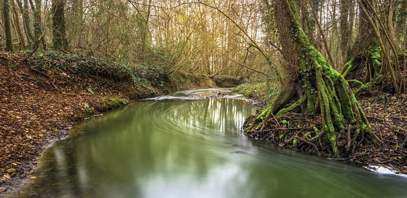 Parco di Cibeins