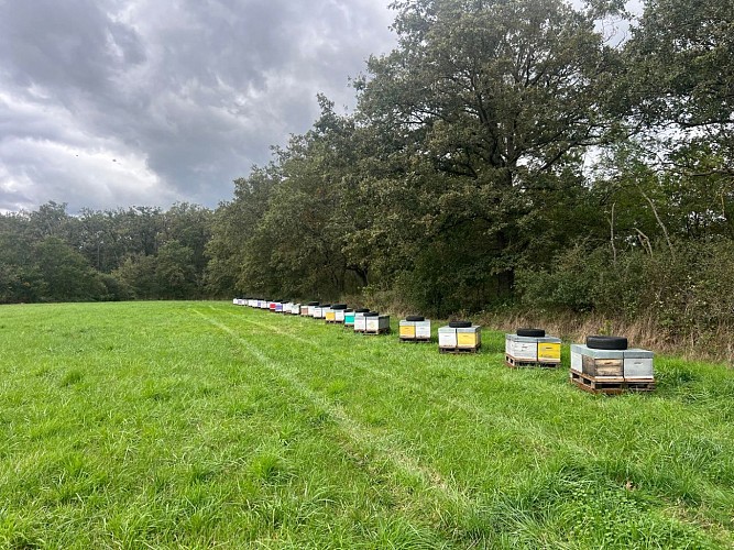 Miellerie des Monts du Forez