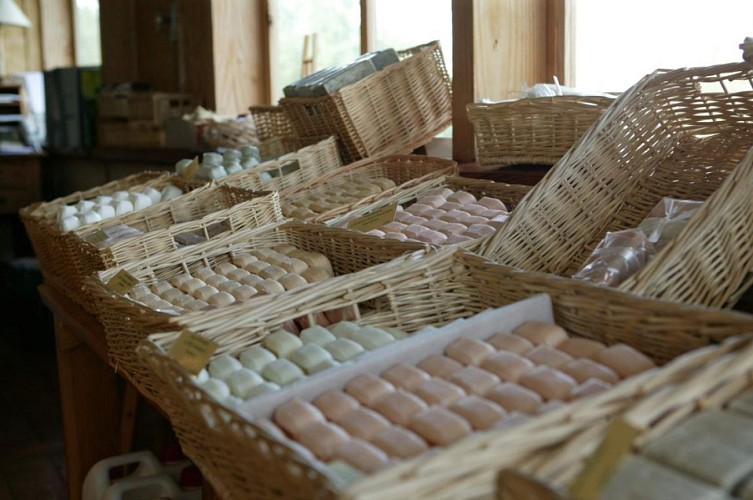 Distillerie Abiessence