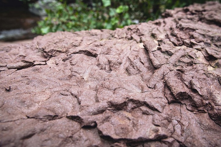 Géosite des Fourniols