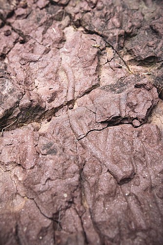 Géosite des Fourniols