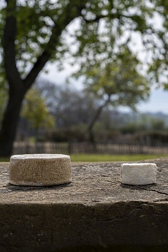 gaec authentique (13)