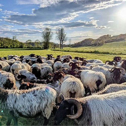 gaec authentique (12)