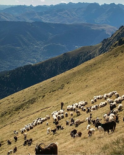 gaec authentique 2023 (2)