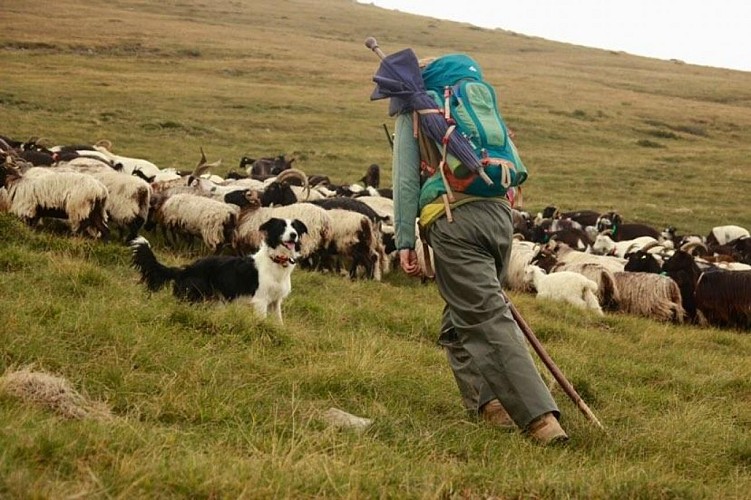 gaec authentique (10)