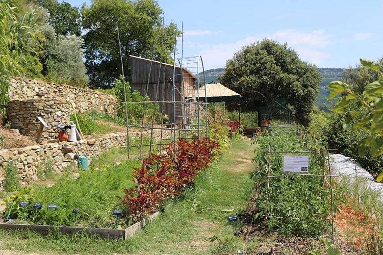 Garten der Abtei von Valsaintes