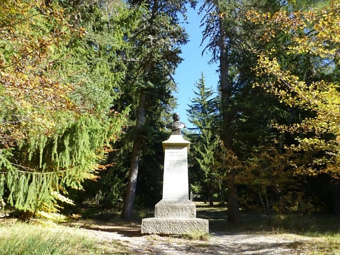 Le Parc Demontzey