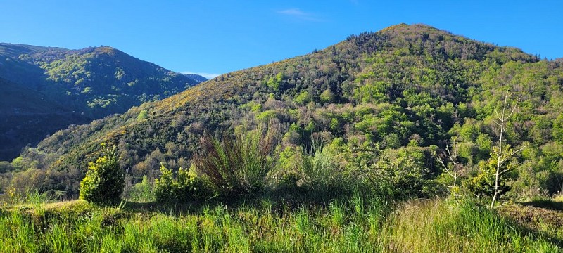 Chalets : Le Refuge de Rousses