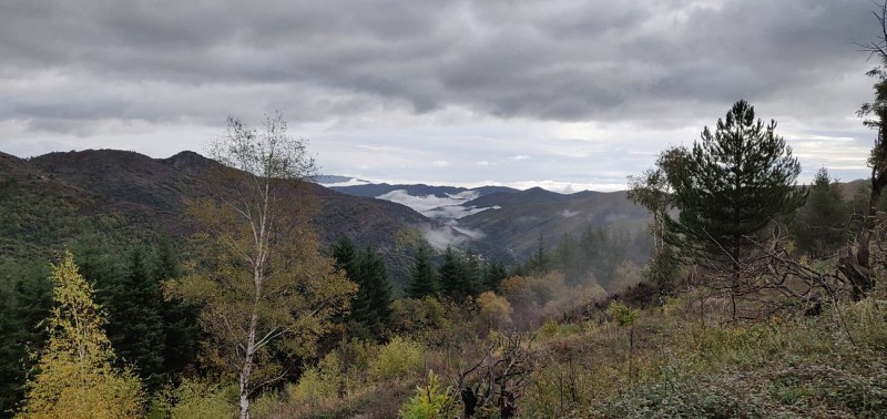 Sentier du Mouflon