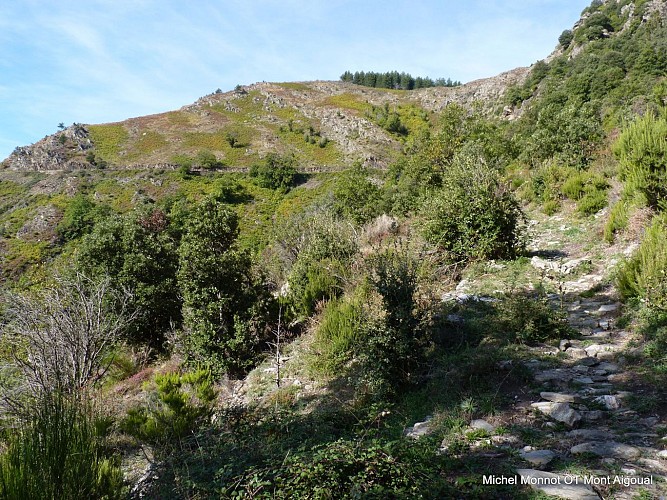 Sentier du Mouflon