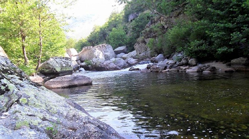 Les gorges de la Dourbie