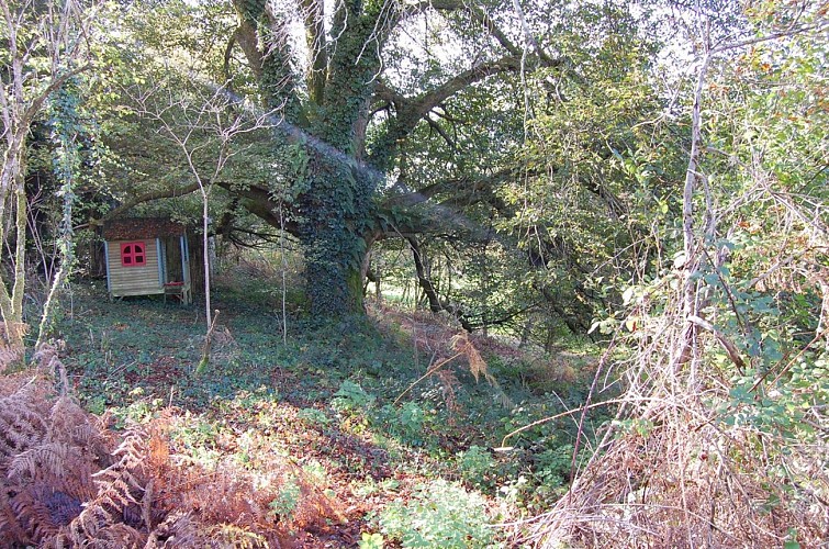 Camping ©LeCocondesCanailles (4) - Copie