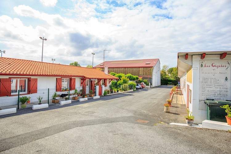 1B_255 Les Cigales 13/06/17