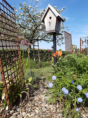 jardin 