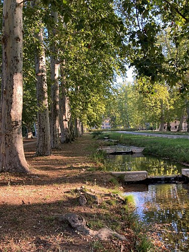 allée devant le château