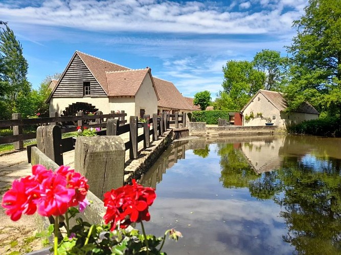 Moulin d'Angibault