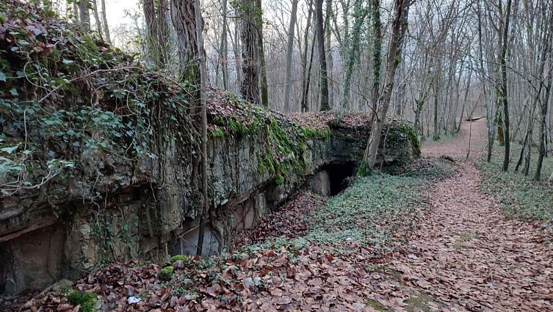 Blockhaus-hôpital allemand | Gobessart 