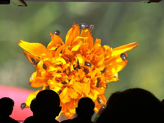 Micro Folie ©CSC Saint-Varentais (3)