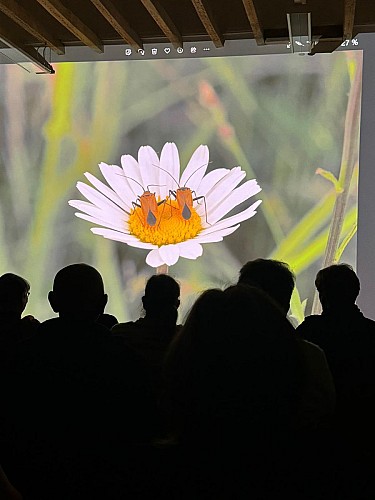 Micro Folie ©CSC Saint-Varentais (4)