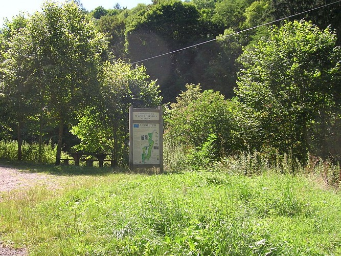Arboretum de Royat
