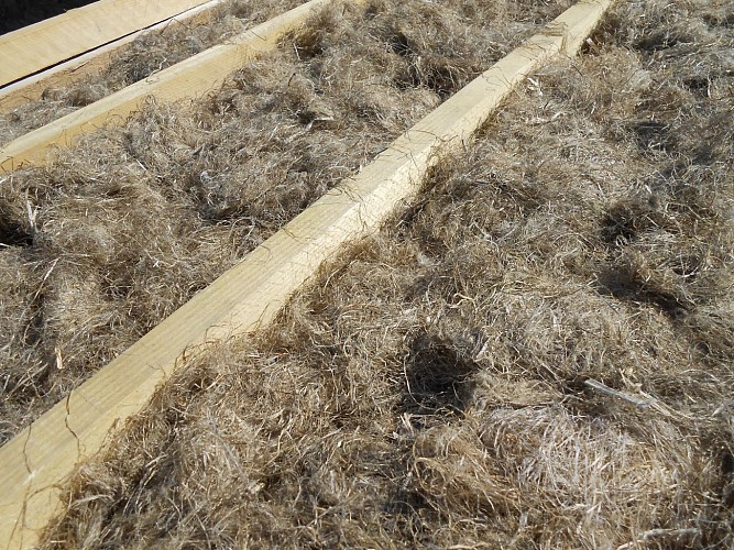 Ferme de la Bitarelle - SCEA Mompechin