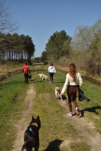 Mush Gironde - Elodie F. La Gironde du Sud (119)