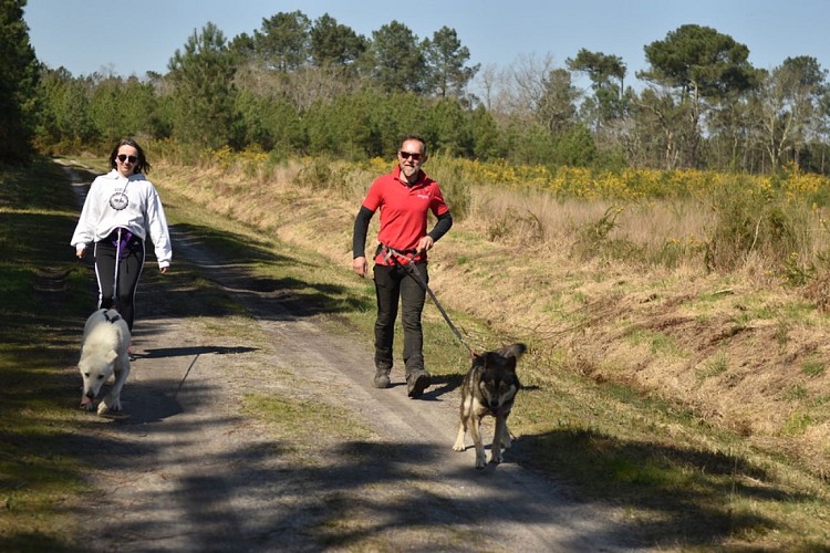 Mush Gironde - LA GIRONDE DU SUD - Saint-Maixant
