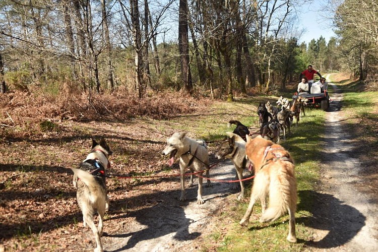 Mush Gironde - Elodie F. La Gironde du Sud (73)