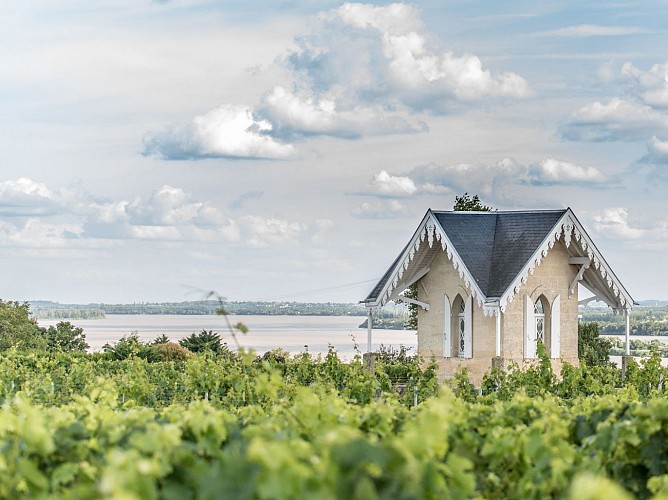 Clos du Notaire exterieur vignes 800 600