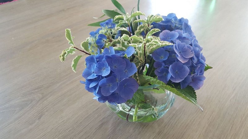 fermanville-meuble-entre-terre-et-mer-20