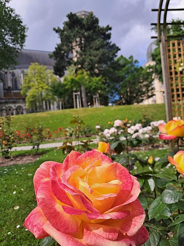 Roseraie André Legrand