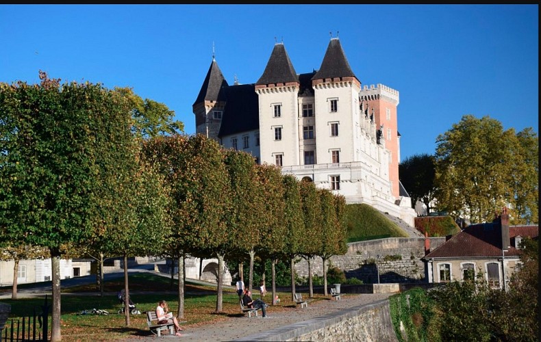 Château de Pau - (Basse-Plante) 3