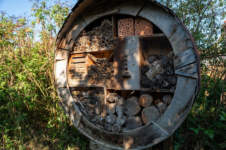 Havre-biodiversite-Lamouly-2