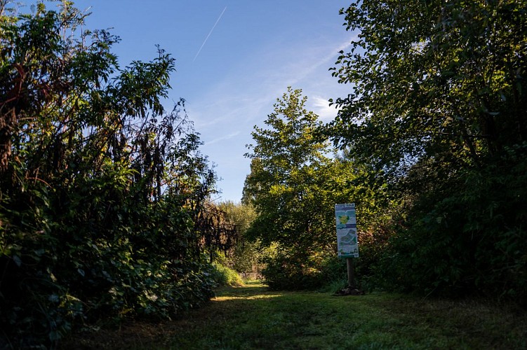 Havre-biodiversite-Lamouly-1