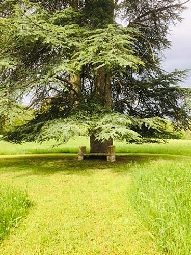 CHÂTEAU ET PARC DE LA VARENNE