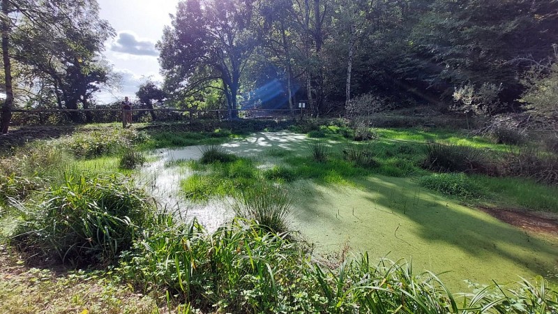 Sentier du patrimoine de Teissières-lès-Bouliès
