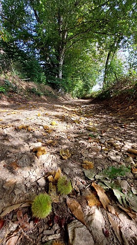 Sentier du patrimoine de Teissières-lès-Bouliès