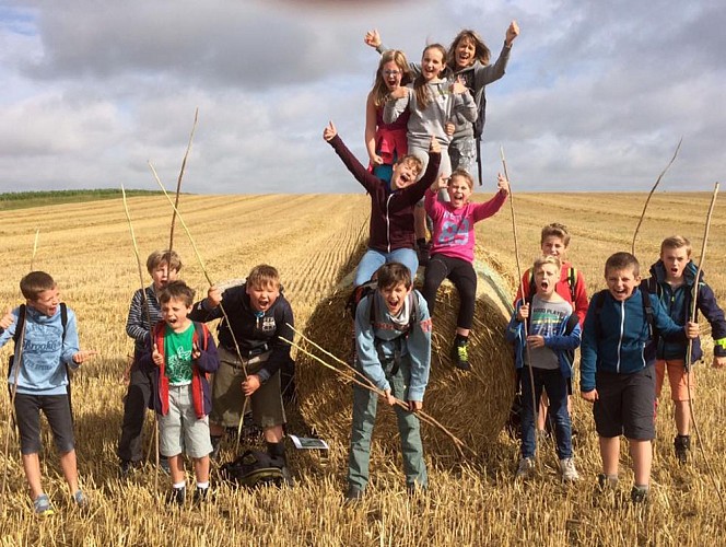 Les ânes de François