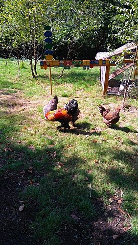 La Mini Ferme de Tonguy