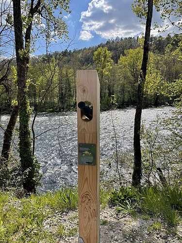 Réserve Départementale de Biodiversité - Observation_7