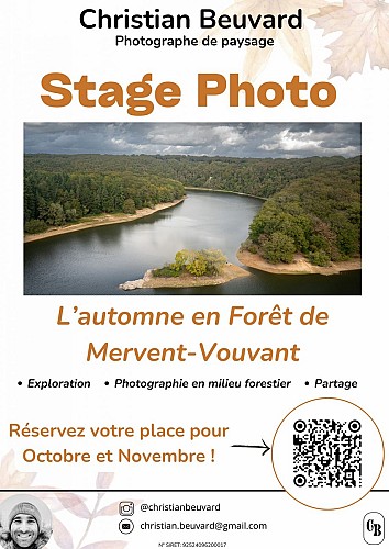 STAGES PHOTO EN FORÊT DE MERVENT-VOUVANT