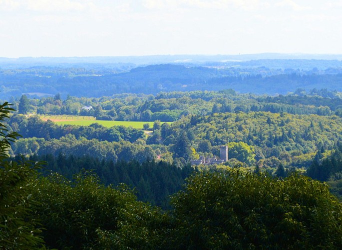 Le Grand Puyconnieux - Point de vue