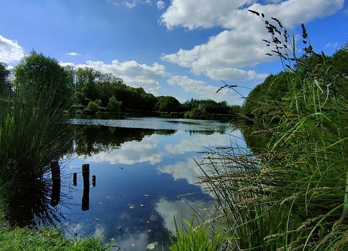 IMG20240603174650 bis