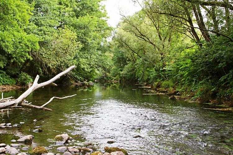 Ponds and rivers rochesson